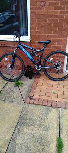 Basis mtb mountain bike - basis, mtb-x1.