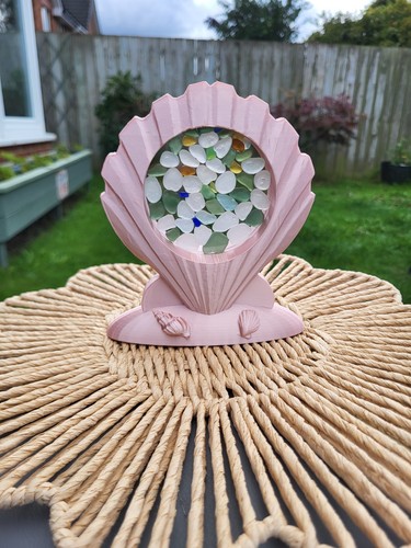 Shell sea glass - sea, display