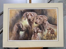 Mick Cawston - Weimaraner  -