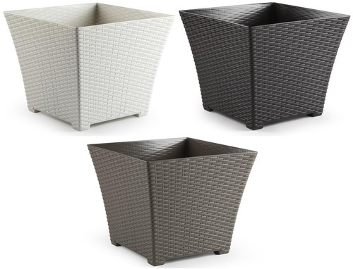 Rattan plant pot indoor - plant,