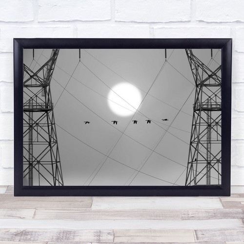 Bird flight sunrise pattern - flight,