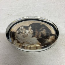 Beautiful glass cat paper weight