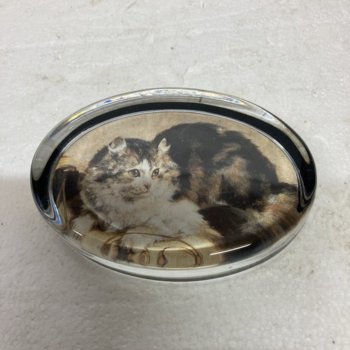 Beautiful glass cat - , paper