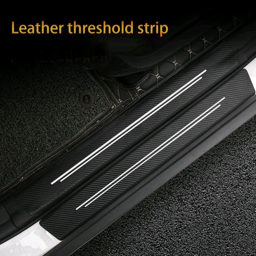 Carbon fiber door - 4x, plate