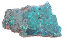 SMALL RARE POLISHED SLICE OF