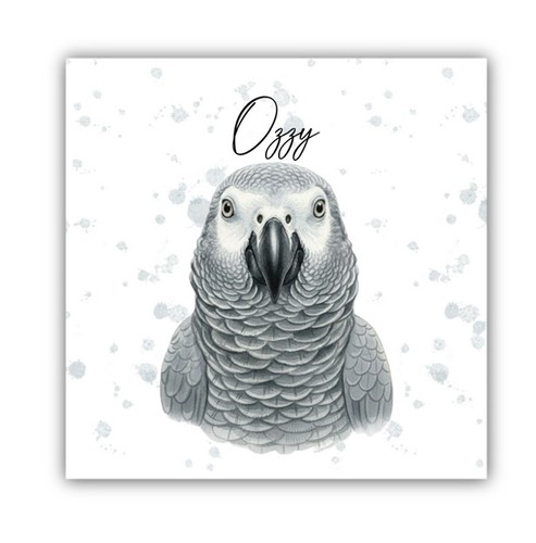 African grey parrot - african,