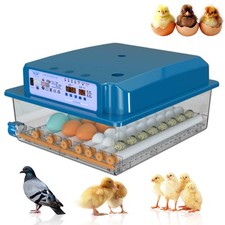 Egg incubators for - egg,