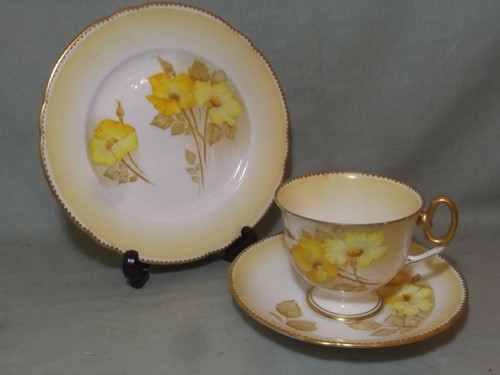 Shelley yellow roses - shelley,