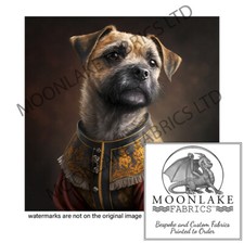 Border Terrier Buster  100%