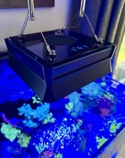 Ecotech Radion | XR15 | Light