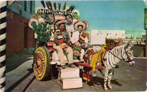 Tijuana mexico donkey cart - tijuana,
