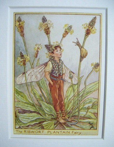 Vintage flower fairies mount - flower,