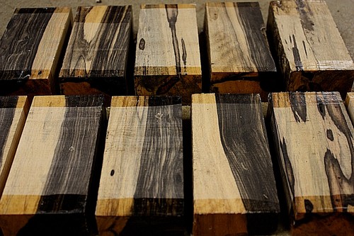 Black and white ebony tool - and,