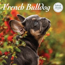 French Bulldog 2026 Deluxe Calendar
