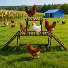 Wooden Chicken Perch &