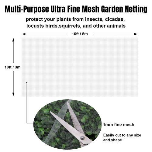 10m 15m garden insect - garden,