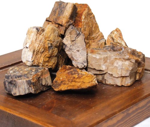 Amtra petrified rock - -,
