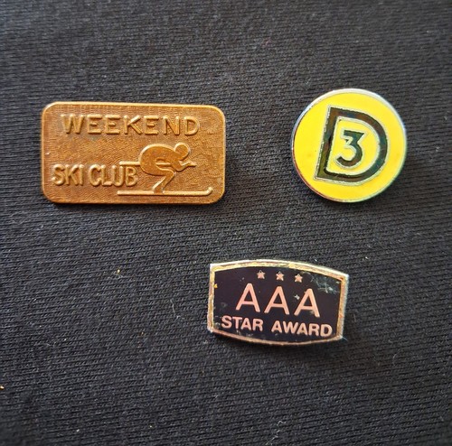 Vintage enamel pin badges ski - vintage,