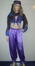 LADIES ARABIAN NIGHTS GENIE PRINCESS JASMINE FANCY DRESS BELLY DANCER 12-14 USED