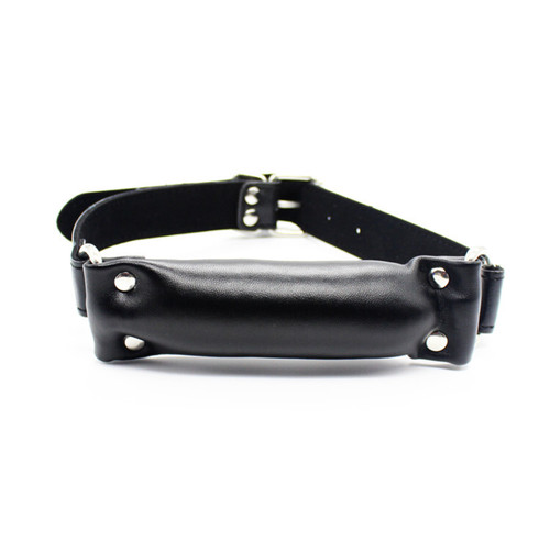Mouth bit bone - gag, harness