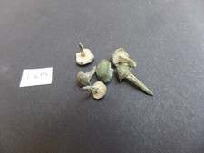 Very Rare Roman 2nd Century