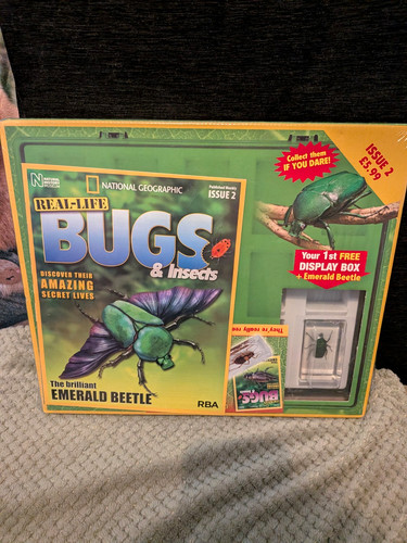 Real life bugs insects - real-life, &