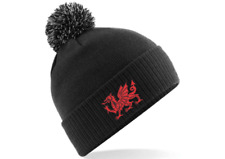 Welsh Beanie Dragon Logo