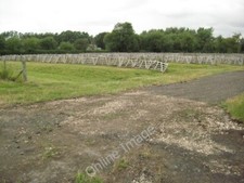 Photo 6x4 Sheep sale site