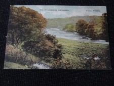 The Wilderness Wetherby Postcard - 108806