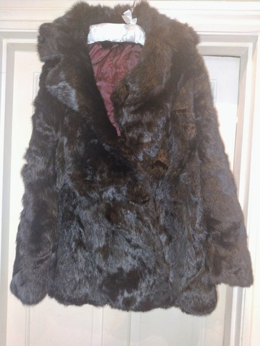 Black rabbit lapin french - rabbit, fur