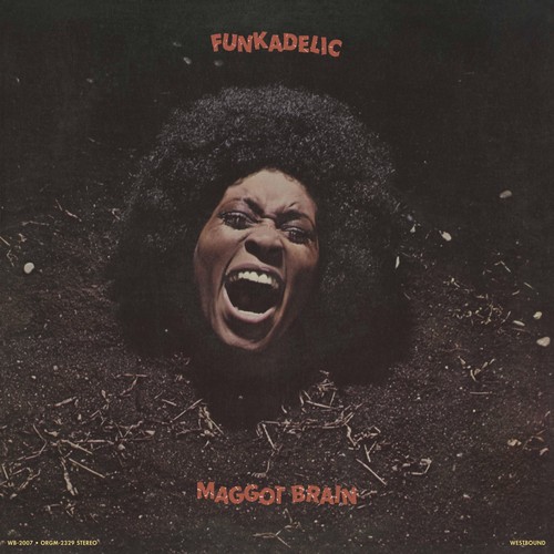 Funkadelic maggot brain - funkadelic,
