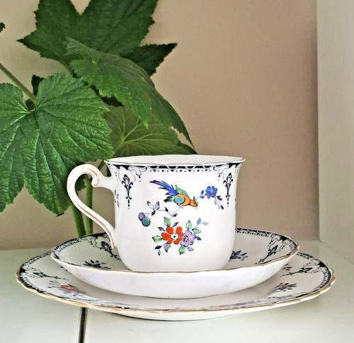 Trio vintage tuscan bone china - bone,