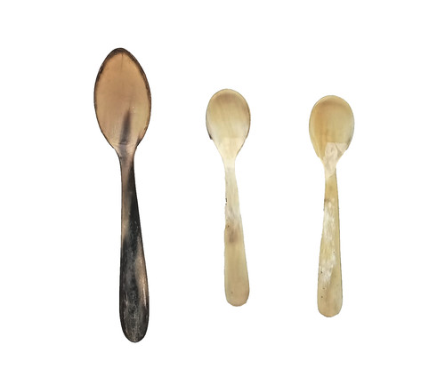 Lot 18th 19th century - of,