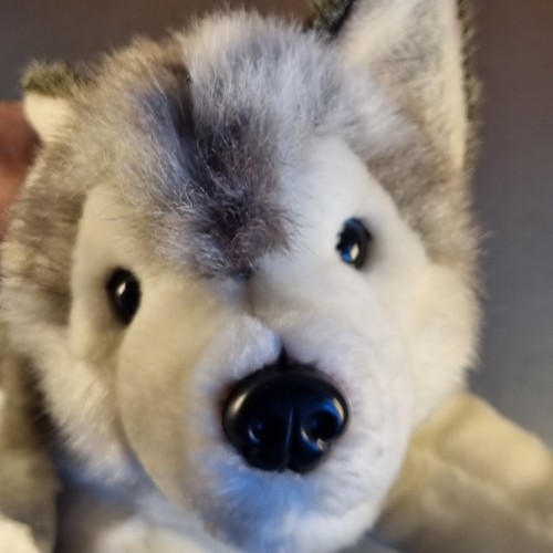 Keel toys storm husky - toys,