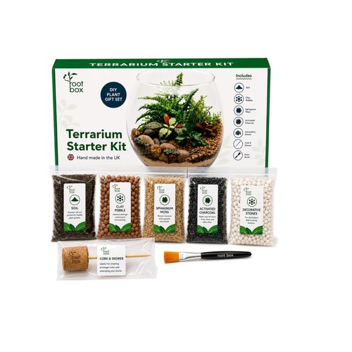 Diy terrarium kit beginners - kit,