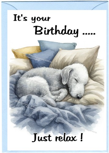 Bedlington terrier dog x - bedlington, (4"x
