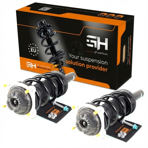 Gas complete suspension - 2x,