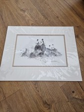 David Shepherd, PANDA in Pencil - Signed Mounted Limited Edition Print