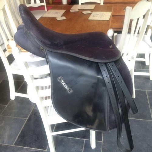 Maxam saddle - maxam,