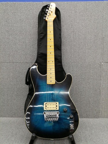 Ibanez designated service - designated,