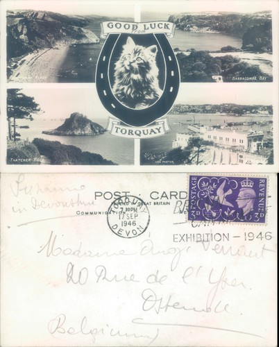 Torquay landscapes with - , cat