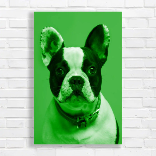 Adorable french bulldog green - adorable,