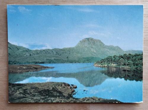 Vintage postcard unused - vintage,