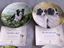 DECORATIVE BORDER COLLIE