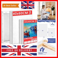 Stretched Canvas for Painting