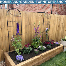 Garden Trellis Set of 2 Plants