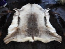 Reindeer Hide, A Beautiful