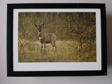 Robert Bateman  'Meru Dusk - Lesser Kudu' print  FRAMED