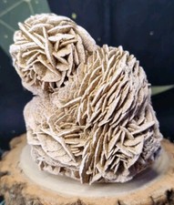 Desert rose selenite crystal - rose,