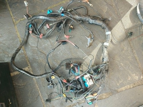 Triumph 955 tiger wiring - triumph, i